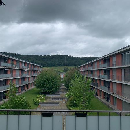 Rheinfelden Homestay Экстерьер фото