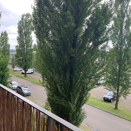 Rheinfelden Homestay Экстерьер фото
