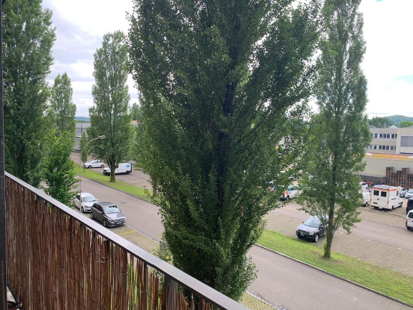 Rheinfelden Homestay Экстерьер фото